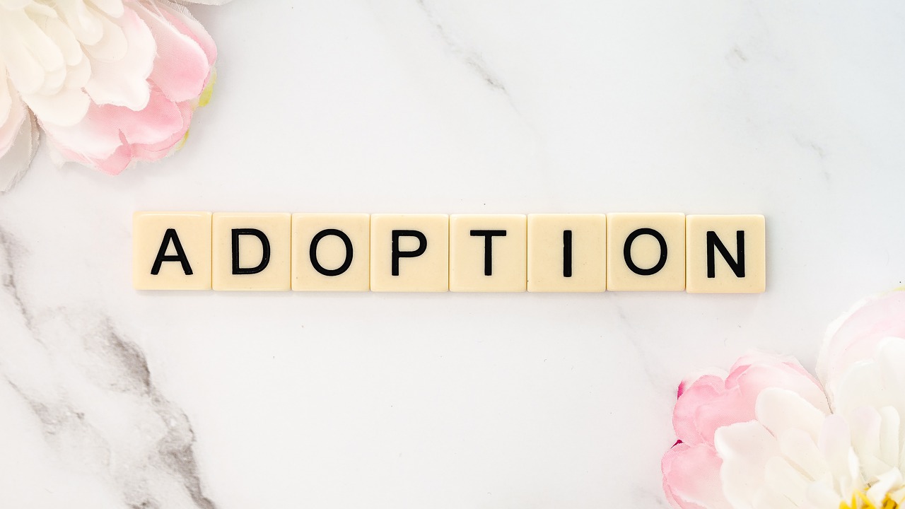 adoption law in india