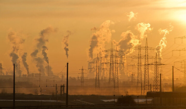 Everything you should know about Environment Protection Laws
